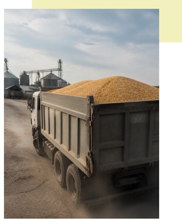 Перевозка сельхозпродукции навалом в Медногорск по цене от 3052 р. | Агросервис-Мдн