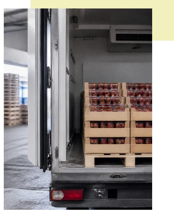 Перевозка клубники в Медногорск по цене от 5442 р. | Агросервис-Мдн